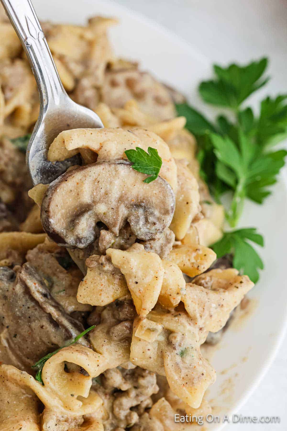 A close-up of a spoonful of creamy mushroom pasta, reminiscent of Hamburger Helper Stroganoff, garnished with parsley. The pasta, featuring pieces of mushrooms, is covered in a rich sauce with visible herbs and spices, with a sprig of fresh parsley on the side.