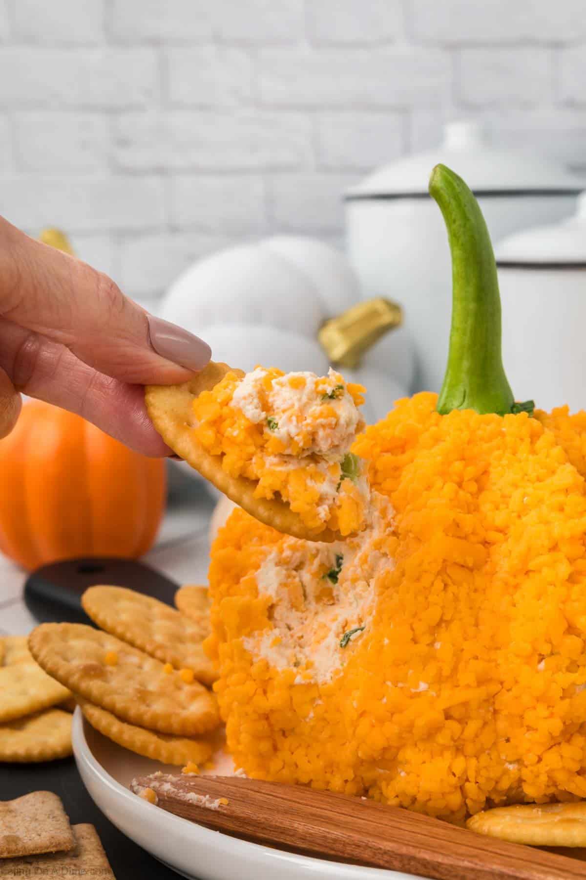 A hand is dipping a cracker into a festive pumpkin cheeseball, covered in orange cheese and accented with visible herbs and spices. Crackers are neatly arranged on a white plate around the pumpkin-inspired treat. The background features autumn decor, including small pumpkins.