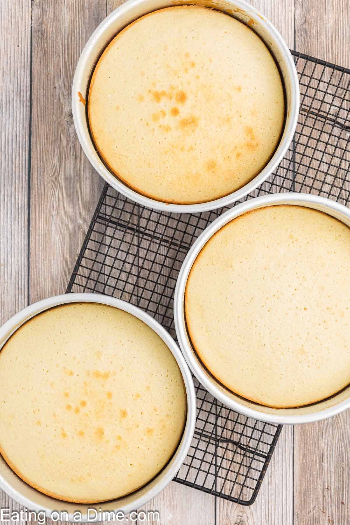 3 Bake Cakes in Round Cake Pans