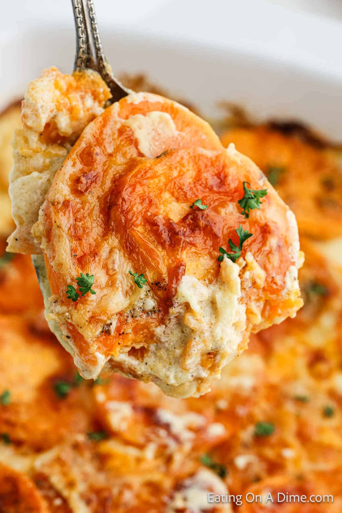 Sweet Potatoes Au Gratin on a serving spoon