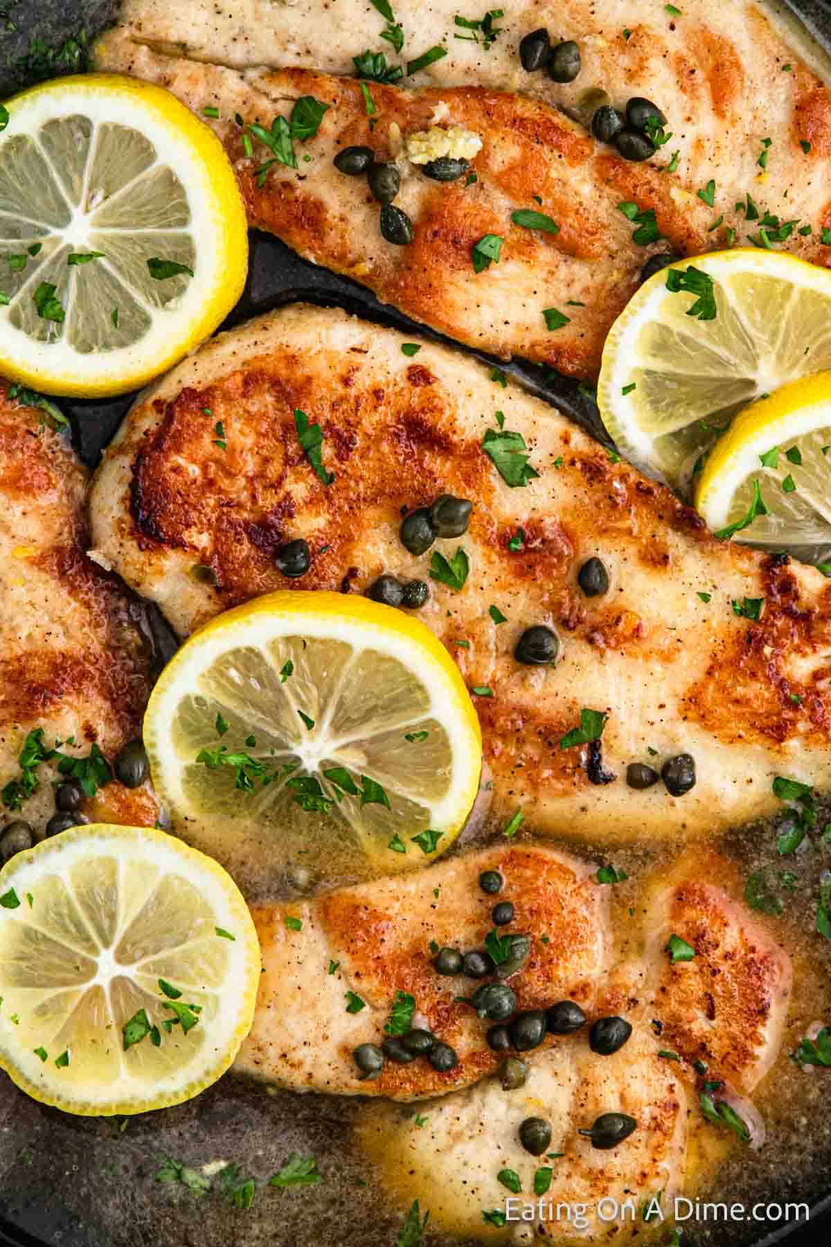 Enjoy this delicious chicken piccata recipe: grilled chicken breasts garnished with capers and fresh parsley, topped with slices of lemon.