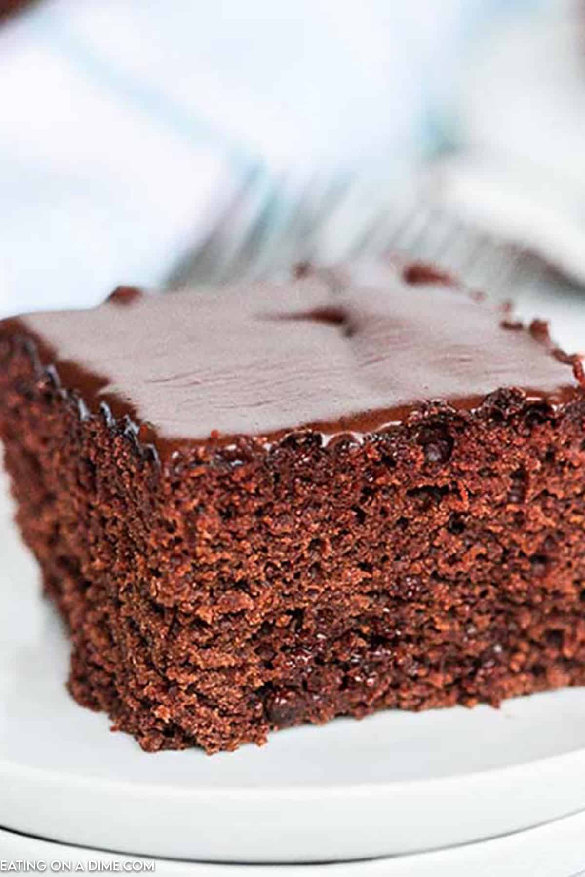 Slice of Chocolate Cake on a plate